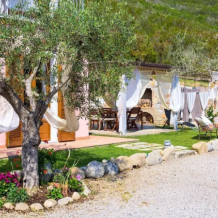 Lavanda Apartment