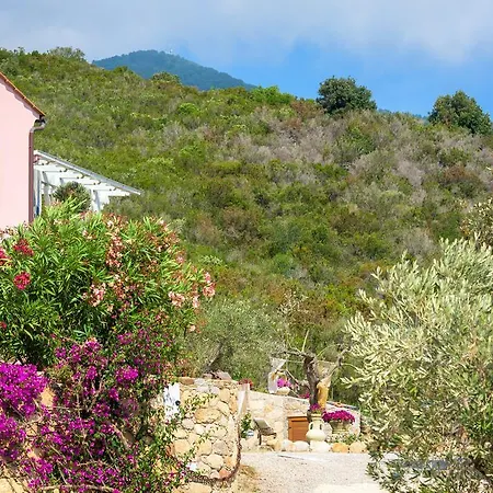 Lejlighed Lavanda CAMPO NELL'ELBA